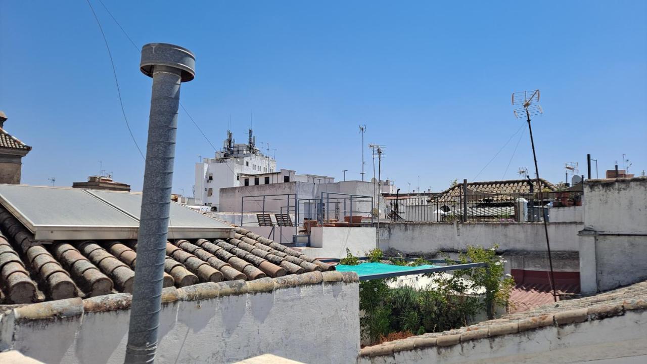 Apartamento Verde, Tranquilo, 2 D, Parking Opcional Σεβίλλη Εξωτερικό φωτογραφία