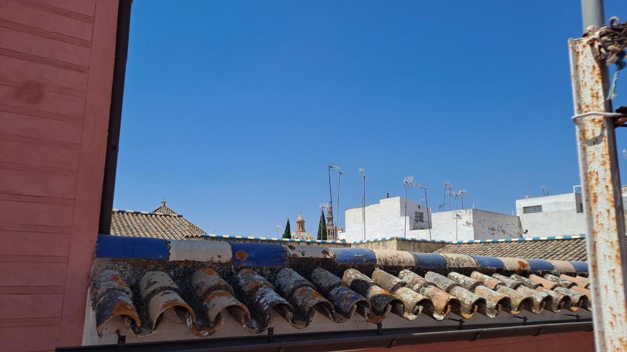 Apartamento Verde, Tranquilo, 2 D, Parking Opcional Σεβίλλη Εξωτερικό φωτογραφία