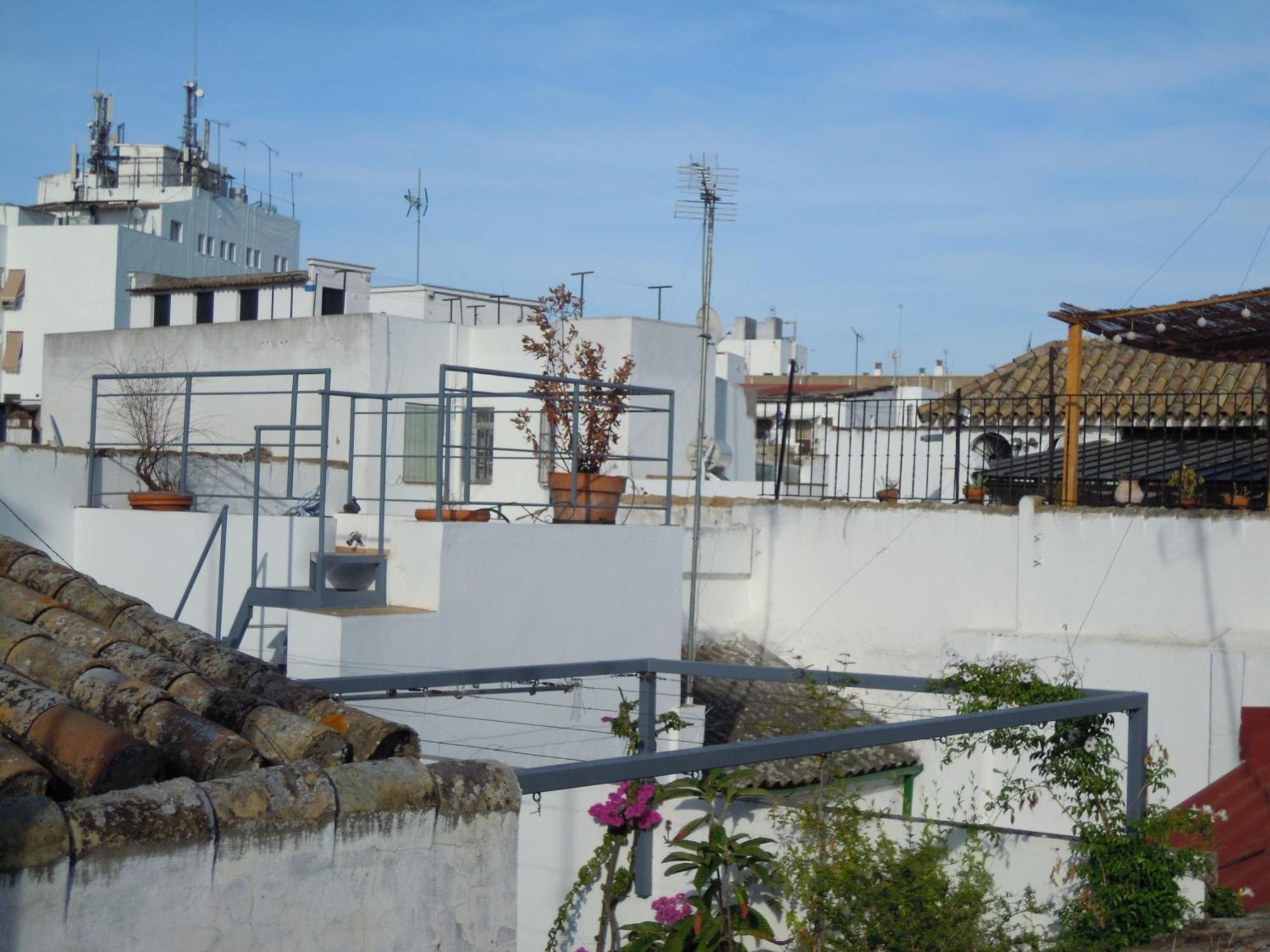 Apartamento Verde, Tranquilo, 2 D, Parking Opcional Σεβίλλη Εξωτερικό φωτογραφία
